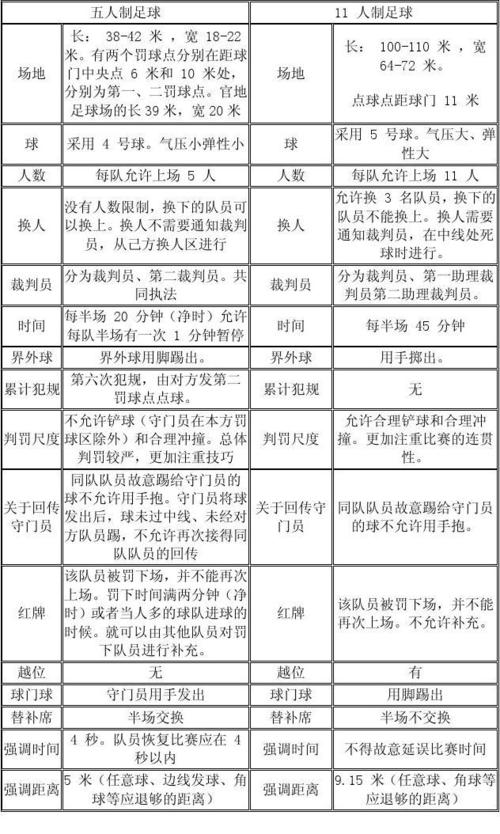 澳门一肖与精准预测，探索数字背后的奥秘澳门一肖一码澳门澳门资料大全