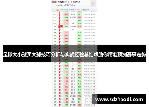 足球大小球看盘技巧表，提升投注效率与准确性的指南