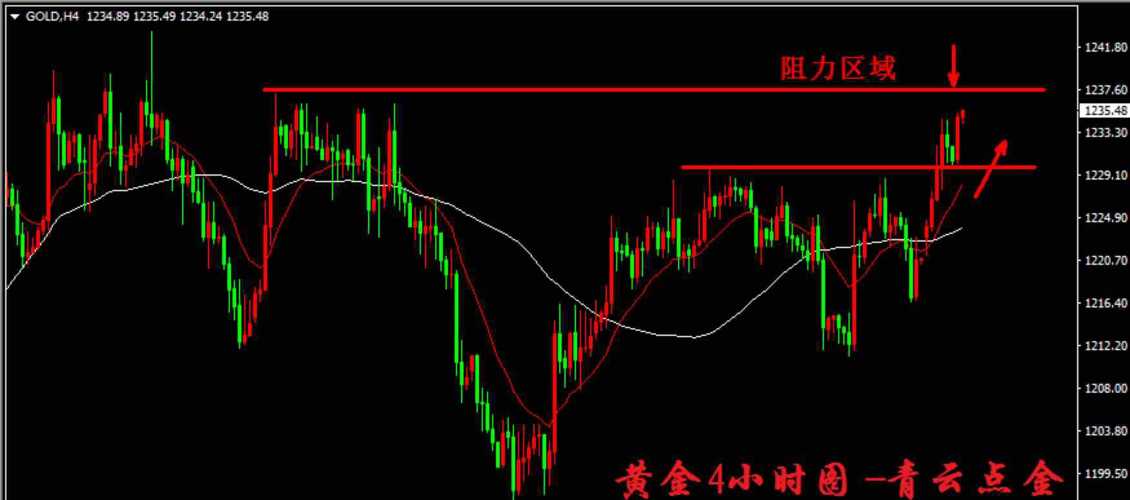 排列5开奖结果走势图分析与解读