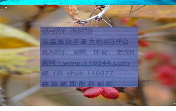 足彩310，足球彩票的秘密代码