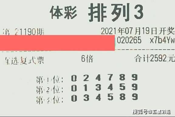 海南七星彩开奖结果公布，幸运数字揭晓，大奖花落谁家？