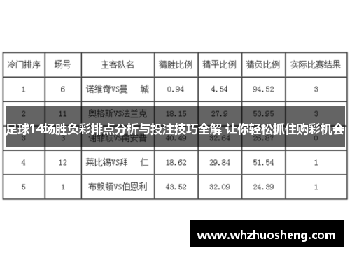 胜负彩十四场专家预测，深入分析与投注建议