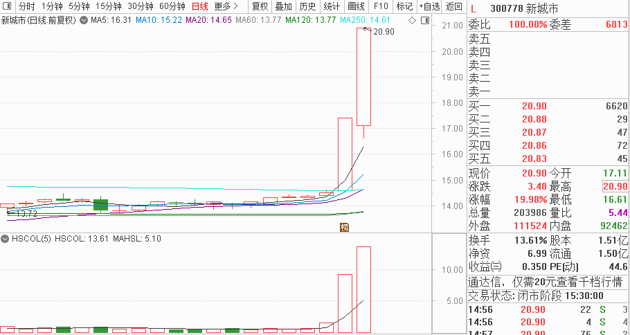 排五近50期一定牛，分析与预测