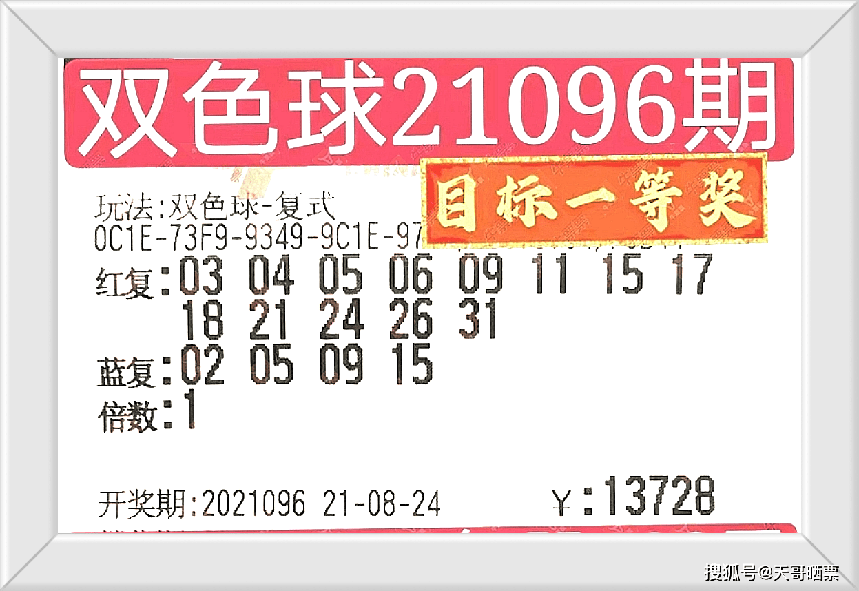 探索二肖与码的奥秘，长期免费公开分享二肖二码长期免费公开马料