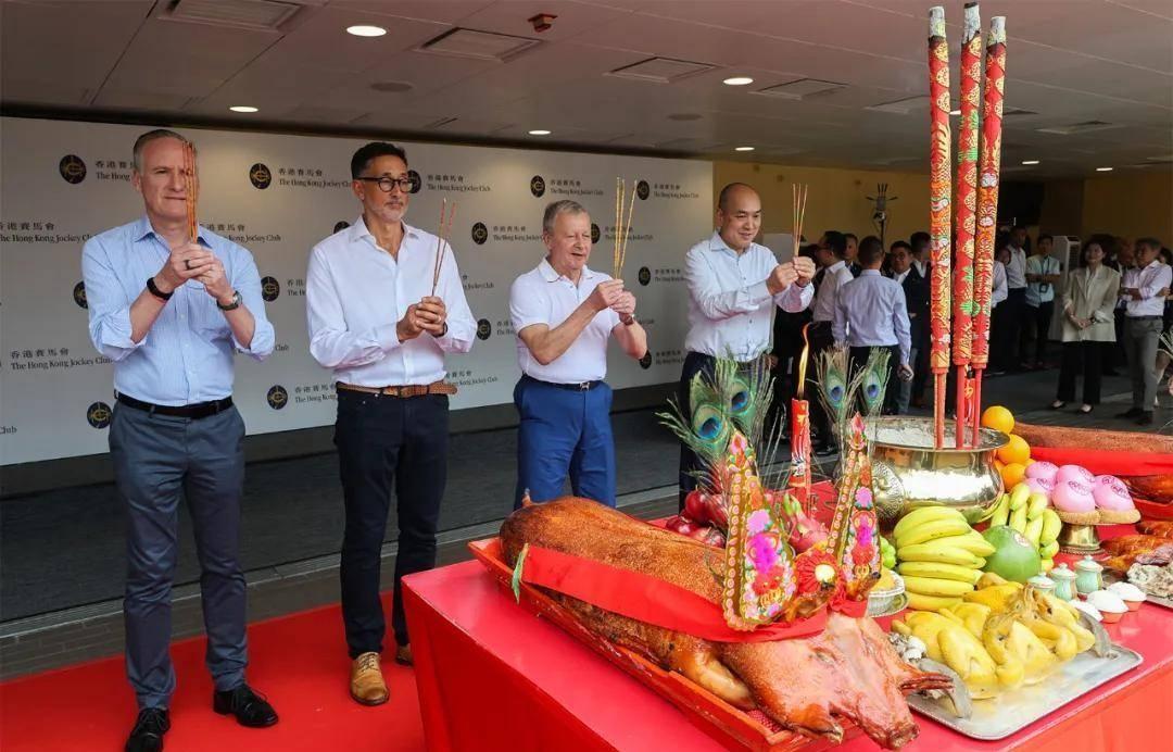 2019年香港马会资料大全，探索赛马的魅力与文化