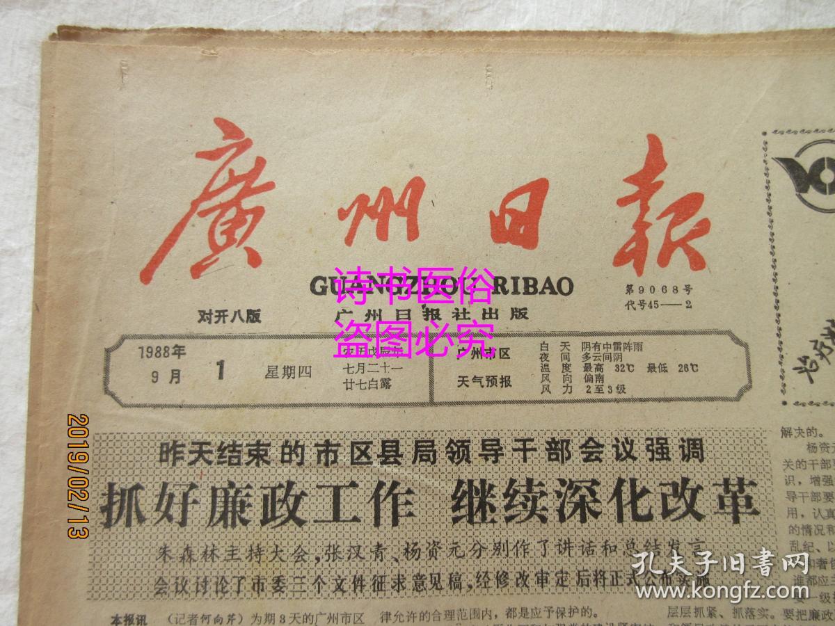 探秘红姐报码室，揭幕数字时代的神秘投注站红姐报码室今晚开奖结果记录