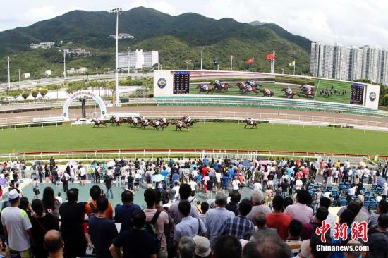 香港马会2019资料大全，全面解析香港赛马的辉煌与魅力香港2021年马会资料大全