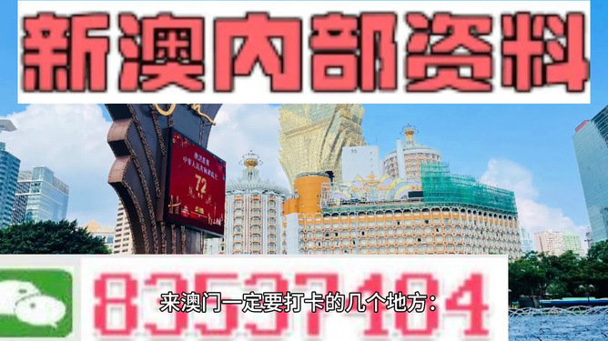 免费与共享，新澳资料长期公开的背后考量2025年正版资料免费大全