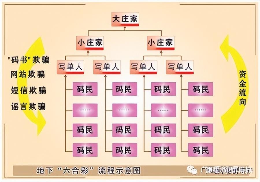 6合同彩开奖结果，揭秘彩票背后的真相与风险六he彩开奖结果