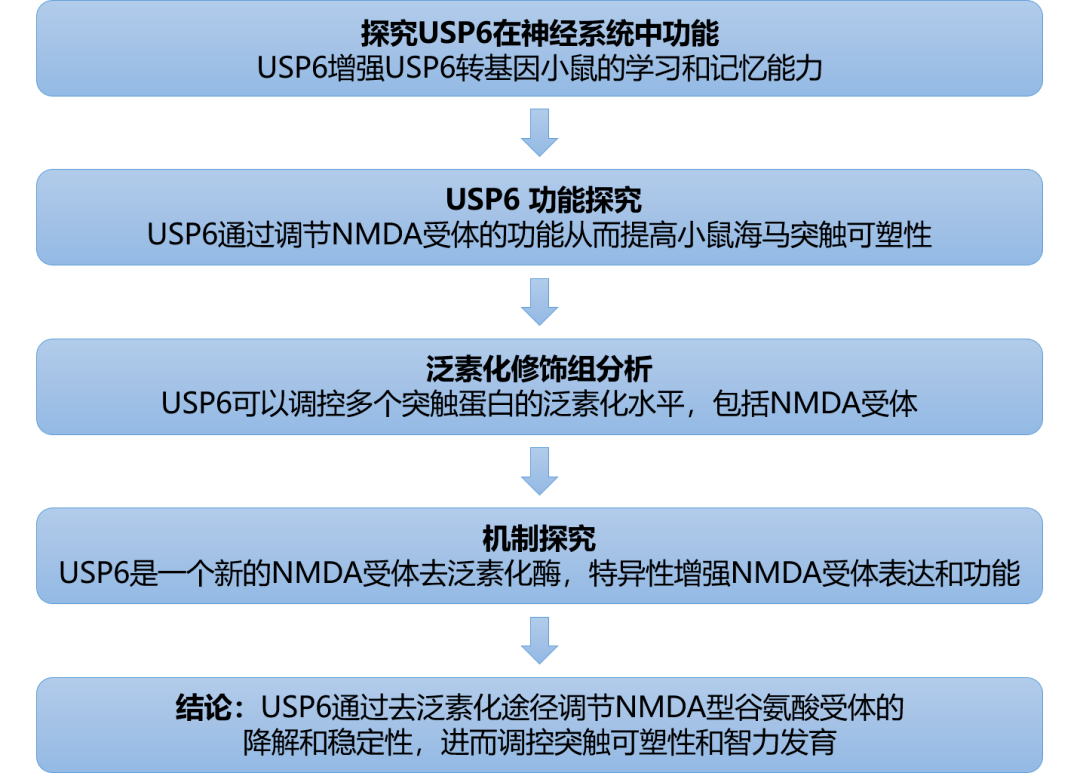 免费获取204年新澳资料大全正版资源，全面解析与合法途径2020年澳门新版资料