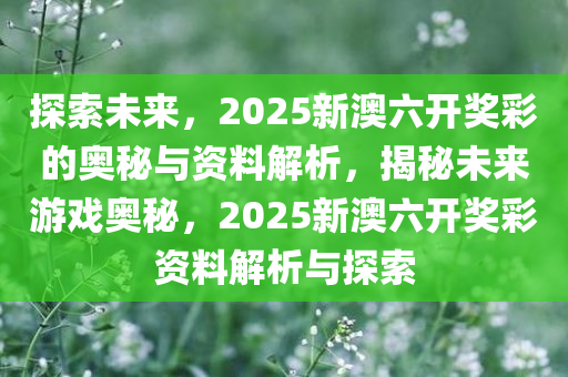 探索未来，新奥六开彩资料2046的数字世界与机遇新奥六开彩资料2024开奖号码查询