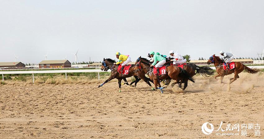 2019年香港马会内部免费资料，揭秘赛马的智慧与策略香港马资料大全2019