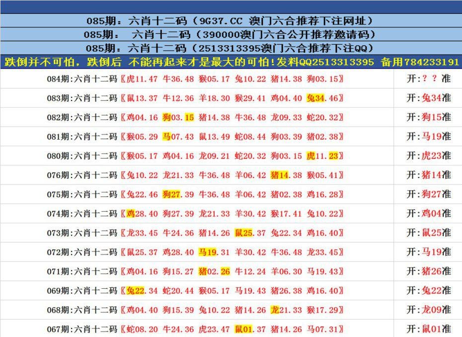 香港四肖八码