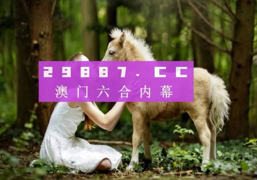 澳门六开彩，2019年回顾与未来展望2025澳门今晚开奖号码