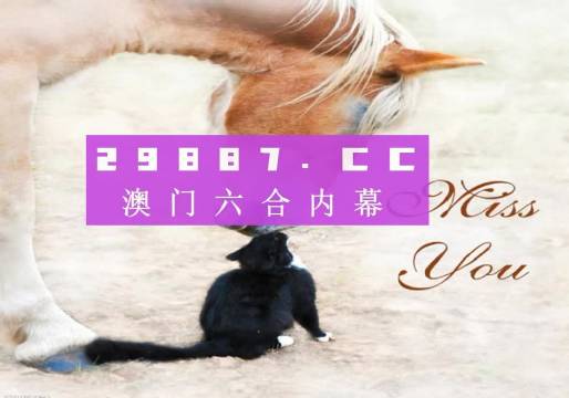 澳门彩，49选8的数字游戏与概率分析4949精准澳门彩最准确的2023年