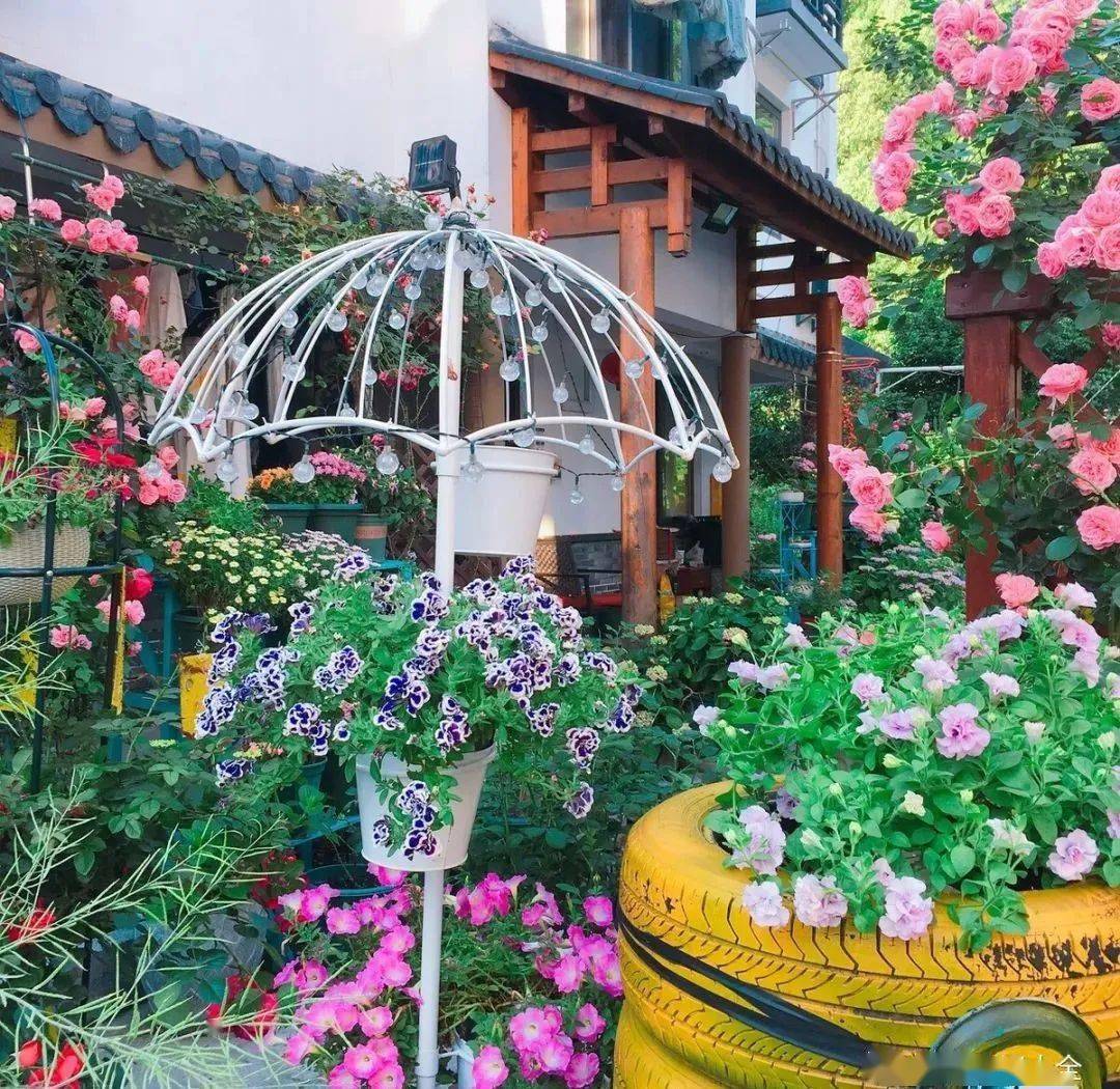 澳门六月天气变化，从视频中看风云变幻澳门6月天气如何变化了视频呢